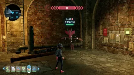 ドラミドロ見た目