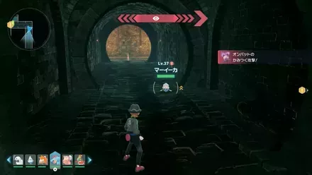 マーイーカ見た目