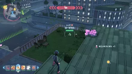 ヨーギラス見た目