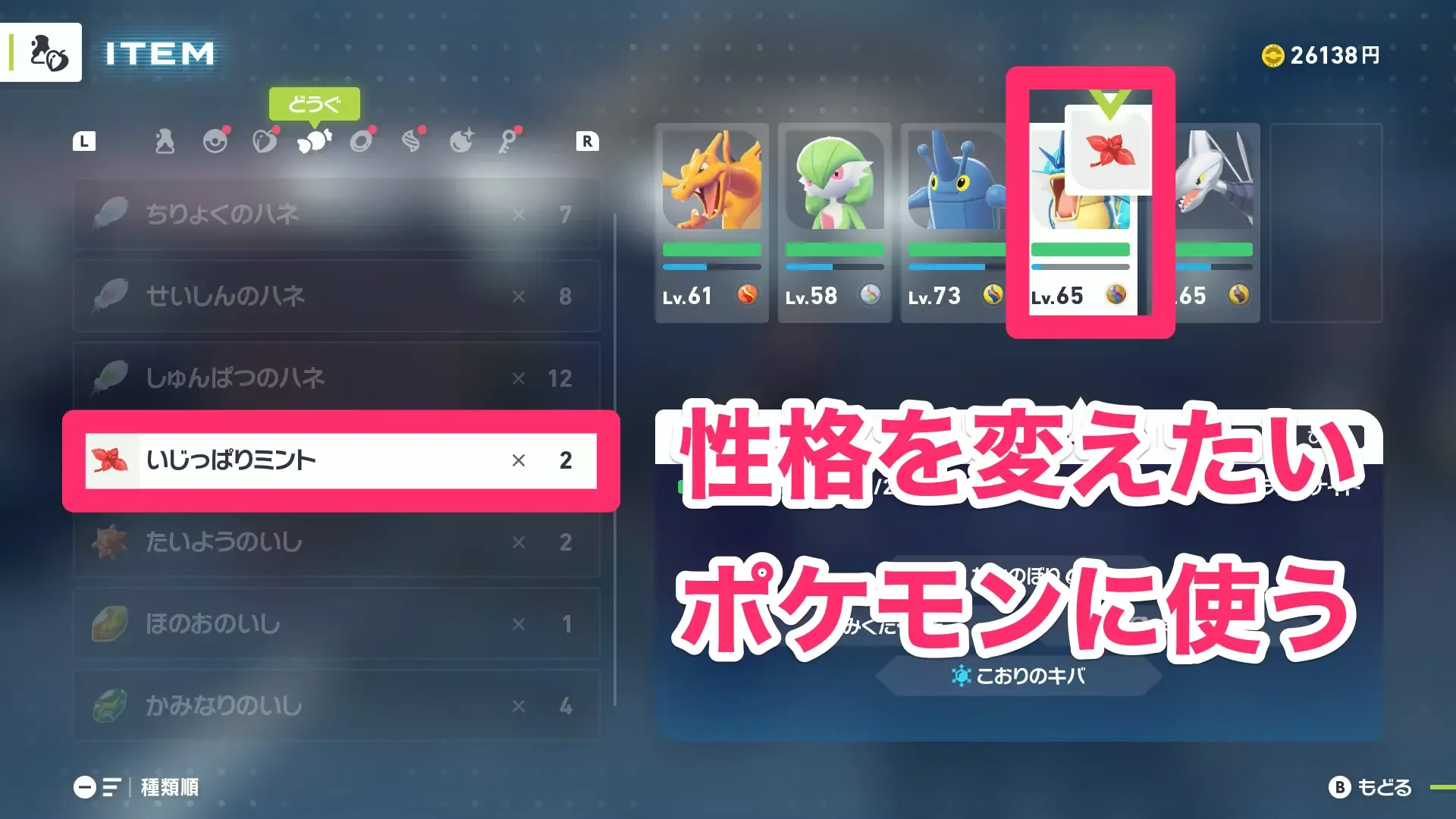 ミントを使うことで任意の性格に変更できる