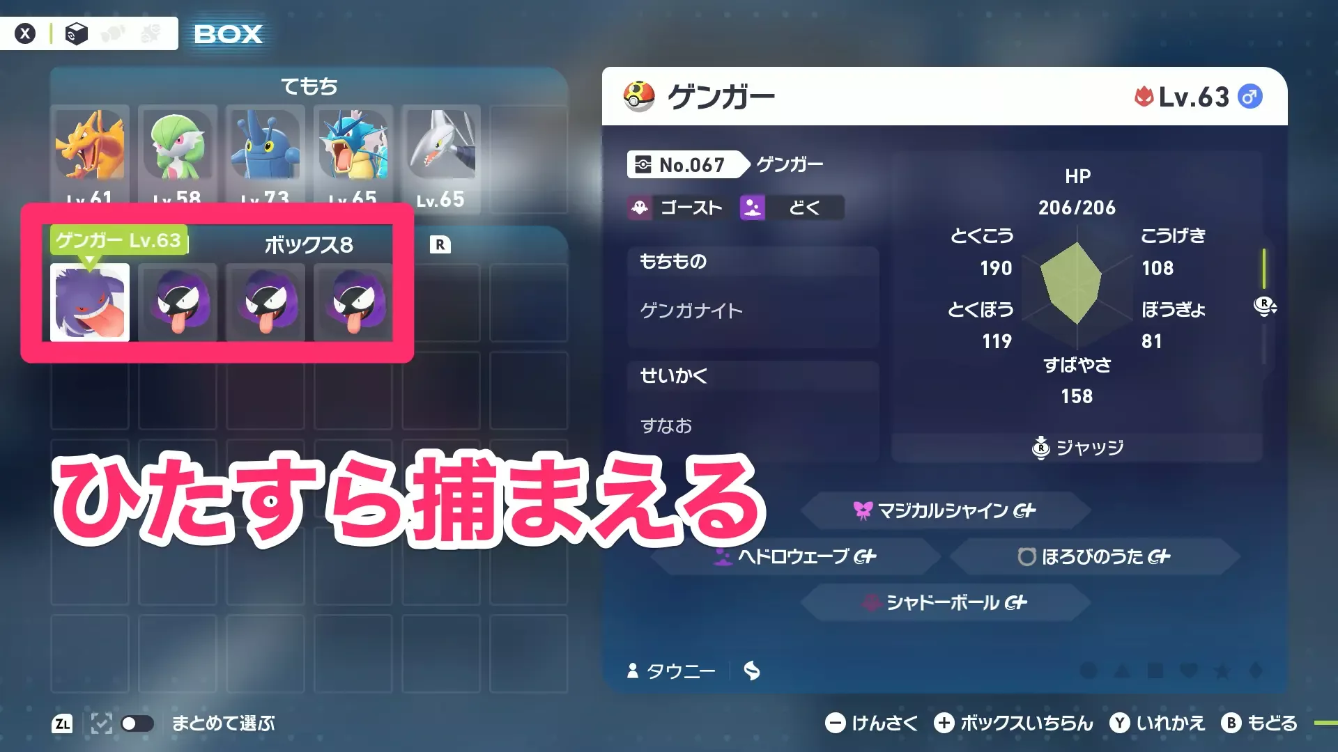 狙いの性格が出るまでひたすら捕まえる