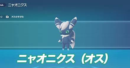 ニャオニクス（オス）