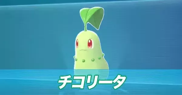 ちこりーた ぷにチコ on X: 