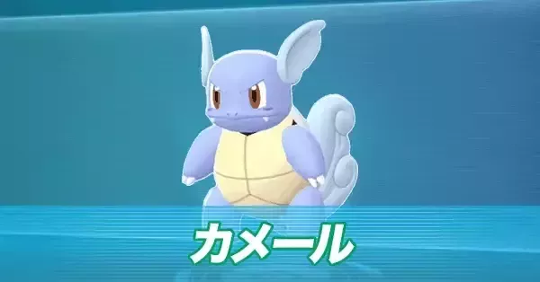 ポケモンZA】カメールの進化と技【ポケモンレジェンズZA