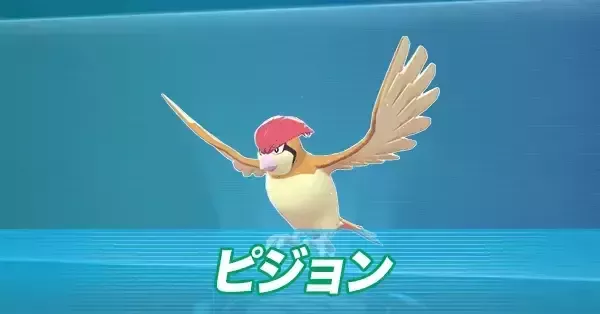 ポケモンZA】ピジョンの進化とおすすめ性格・色違い【ポケモン