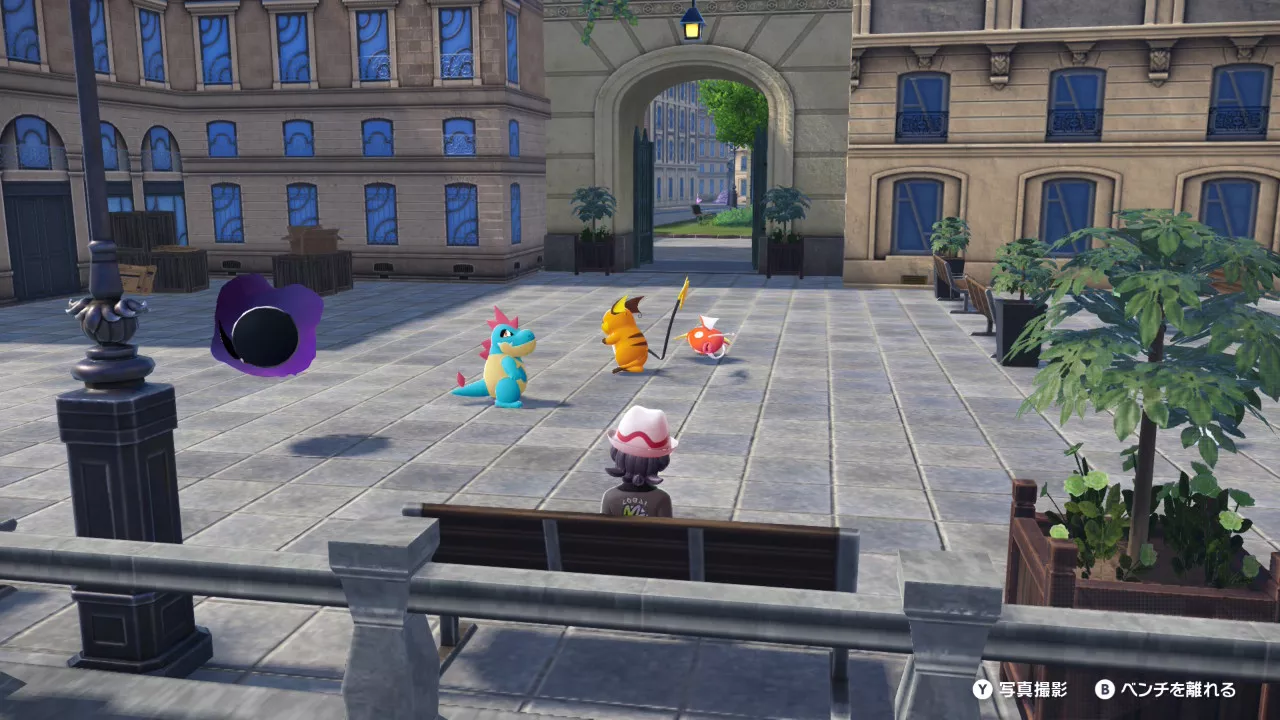 ベンチでポケモンと過ごす