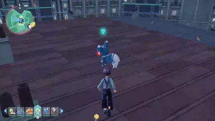 ニャオニクス（オス）画像