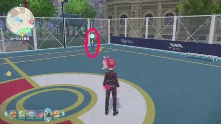 世界一ピカチュウ決定戦の依頼人