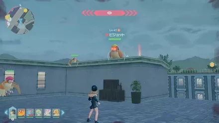 ピジョットのマップ