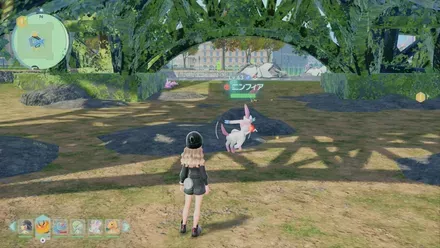 ニンフィアのマップ