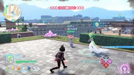 ミニリュウ画像