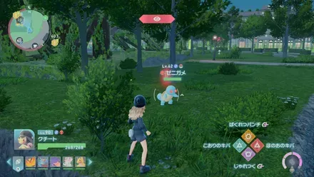 ゼニガメのマップ