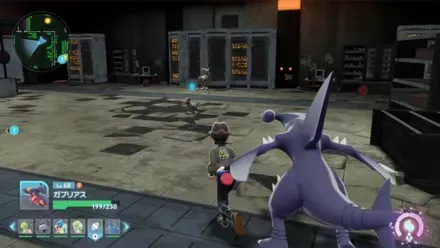 デルビル見た目