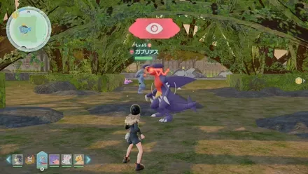 ガブリアスのマップ