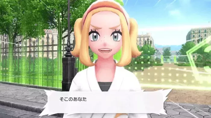 コタネの見た目