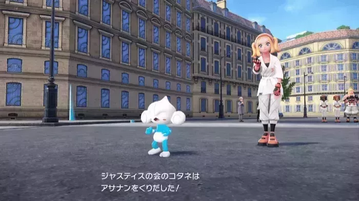 コタネの見た目