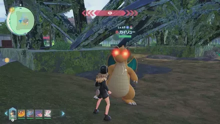 カイリューのマップ