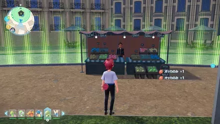 オッカのみ現地画像