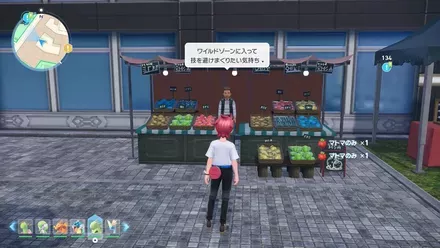 マトマのみ現地画像