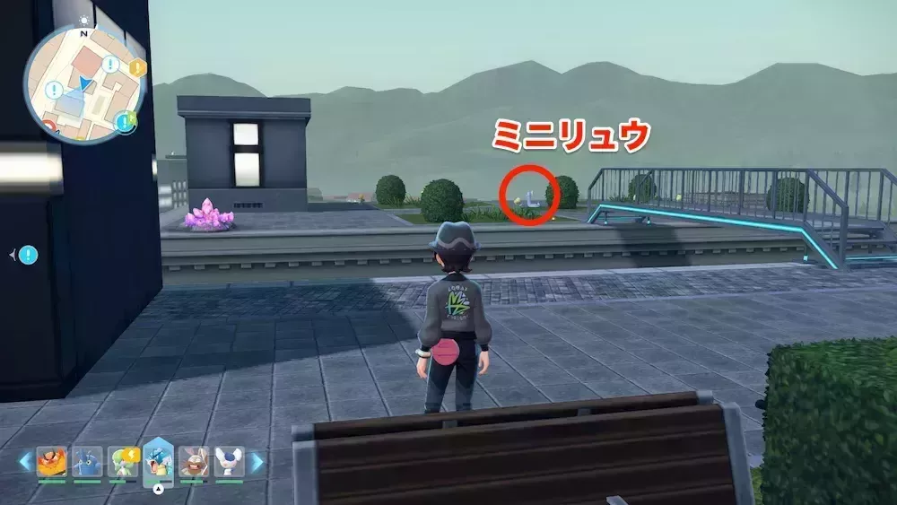 ミニリュウ厳選