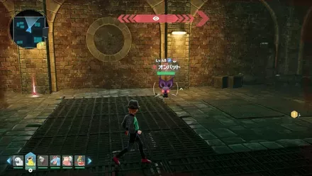 オンバット見た目