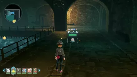 マーイーカ見た目