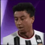 HPジェシーリンガード(10/20)画像