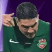 HPガストンスアレス(10/20)画像