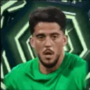 HPパブロフォルナルス(10/20)画像