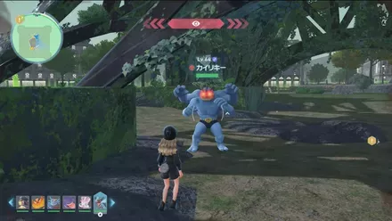 カイリキーのマップ