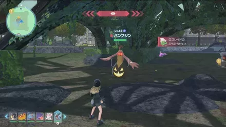 パンプジン画像