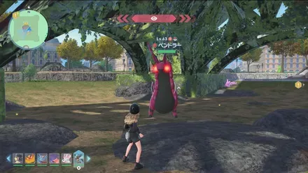 ペンドラー画像