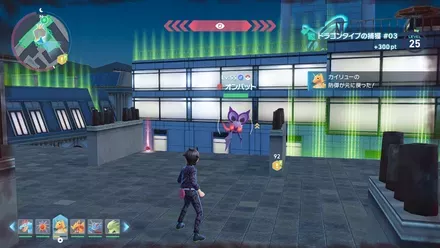 オンバット画像