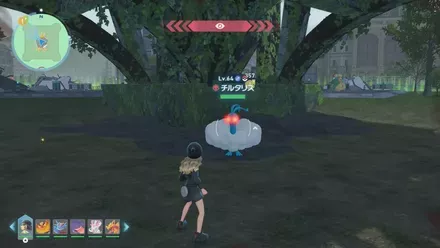 チルタリスのマップ