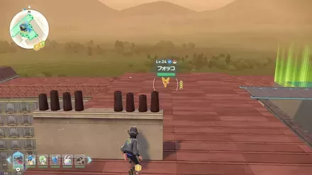 フォッコの出現場所