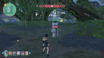 ユキメノコ画像