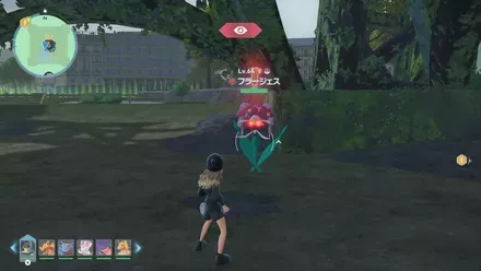 フラージェス画像