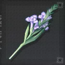 ソードアコーラス