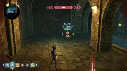 ズルッグのマップ