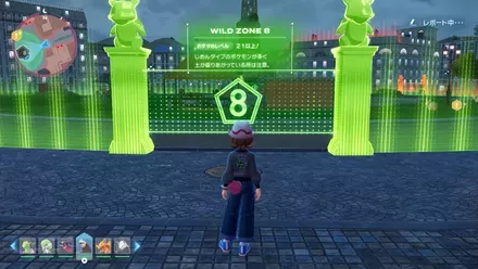 ワイルドゾーン8