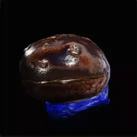 ゼレドロフェイク