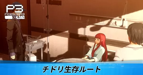 チドリ生存ルート