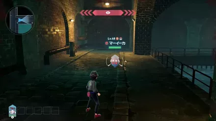 マーイーカ画像