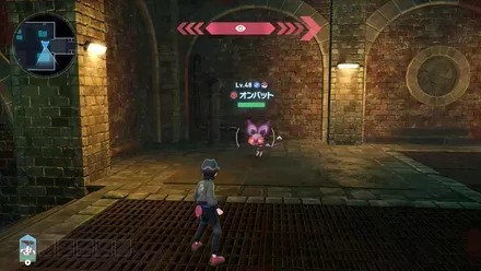 オンバット画像