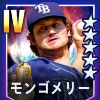 モンゴメリー画像