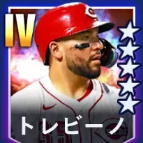 トレビーノ画像