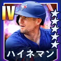 ハイネマン画像