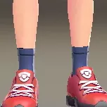 ロークルーソックス