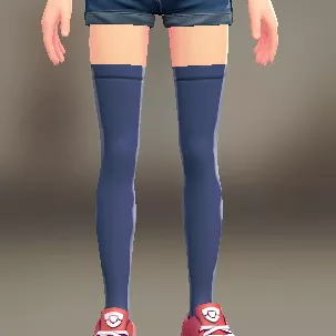 サイハイソックス