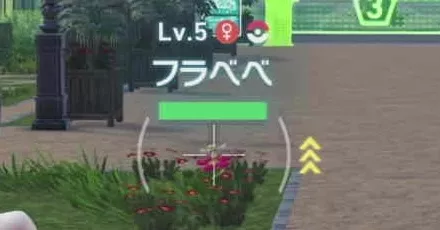 通常色フラベベ